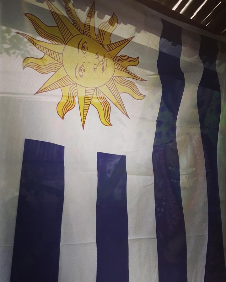 Frida Casa Hostel Pelotas Zewnętrze zdjęcie