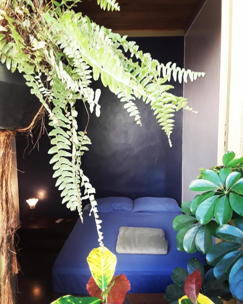 Frida Casa Hostel Pelotas Zewnętrze zdjęcie